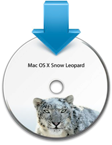 snow leopard