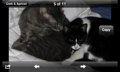 prevent iphone image rotation