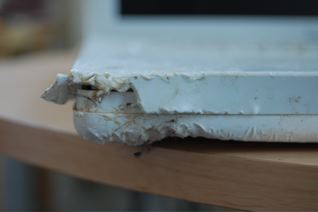 ibook chew toy