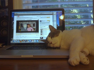 kitten-and-mac-4-400x299