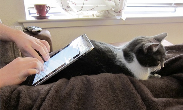 iPad - Juegos para tu gato