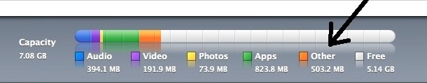 itunes other itunes other