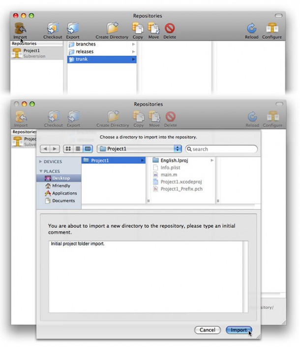 Importing a Project to the Repository Importing a Project to the Repository