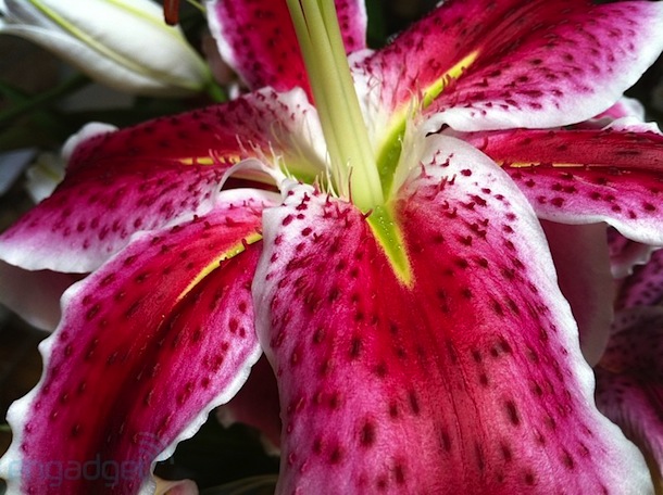 iphone 4 camera pic