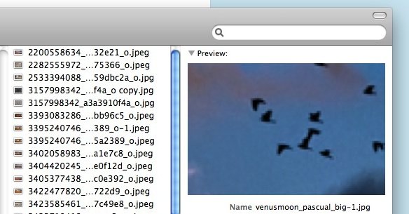 zoom in option click preview zoom in option click preview