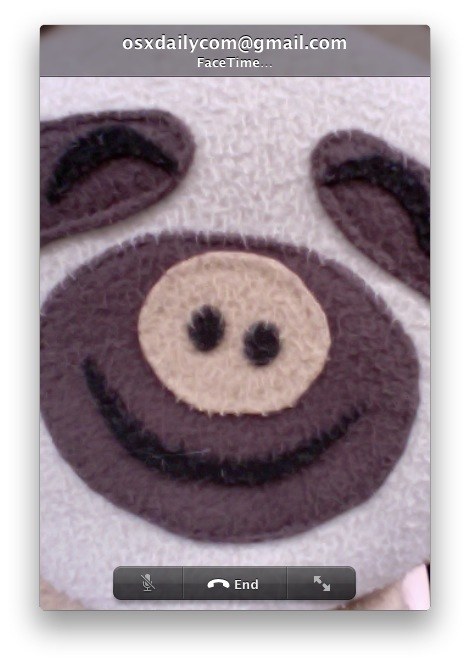 facetime-from-url