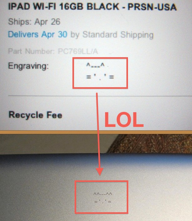four-eared-cat-ipad-engraving-error Four eared cat iPad 2 engraving error