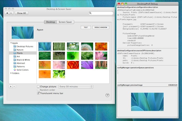access-desktop-background-debug Mac OS X Desktop Background Debugger Window