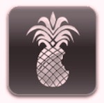 redsn0w 0.9.6rc15