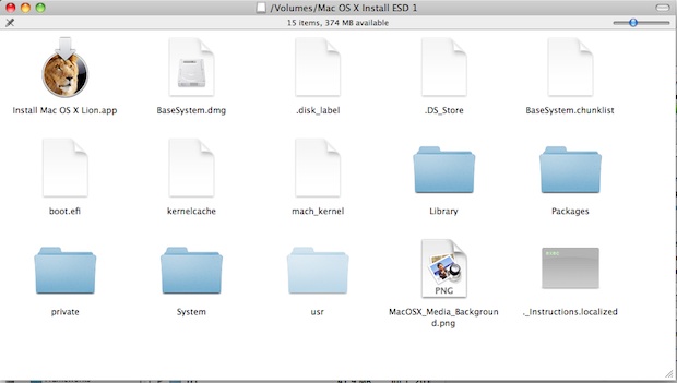 Lion Installation Image