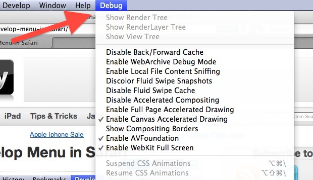 Debug menu in Safari