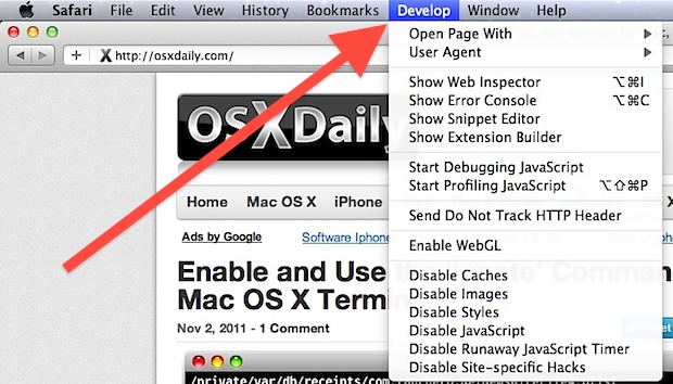 Safari Developer menu