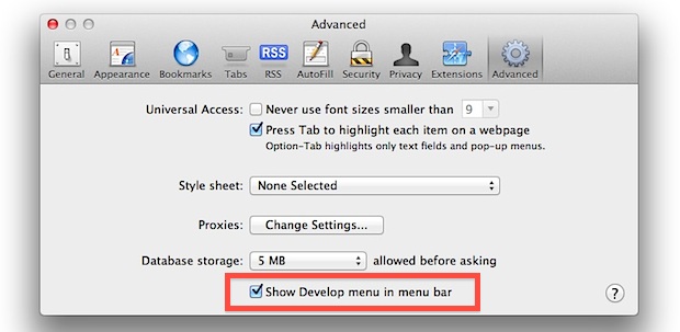 Enable the Develop menu in Safari