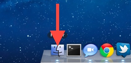 swipe down open app in the Dock to show Expose in Lion