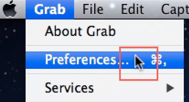 Mouse Pointer visible in a screen shot