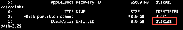 disk identifier found from diskutil list