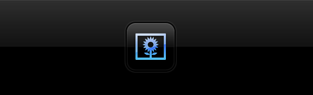 Picture Frame for iPad