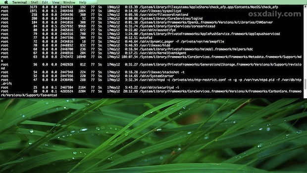 totalterminal-mac-os-x TotalTerminal in Mac OS X