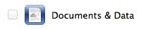 Turn Off Documents & Data for iCloud