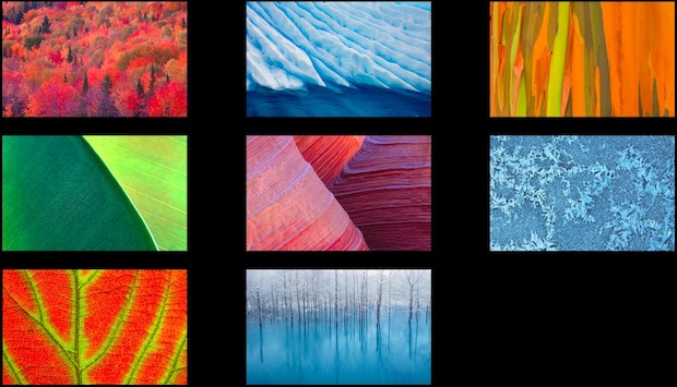 hidden nature patterns wallpapers