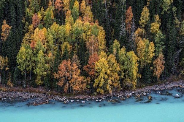 fall lake wallpaper