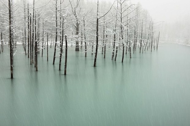 snow pond of japan wallpaper