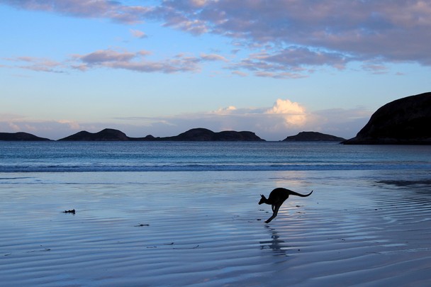 luckybay Lucky Bay, Australia wallpaper