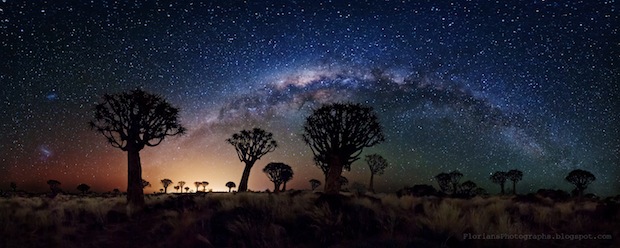 quiver-trees-milkyway Milky way over Quiver trees