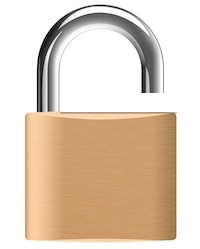 Reveal a forgotten websites password in Mac OS X with Keychain access