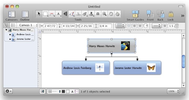 Mac App Store Visio